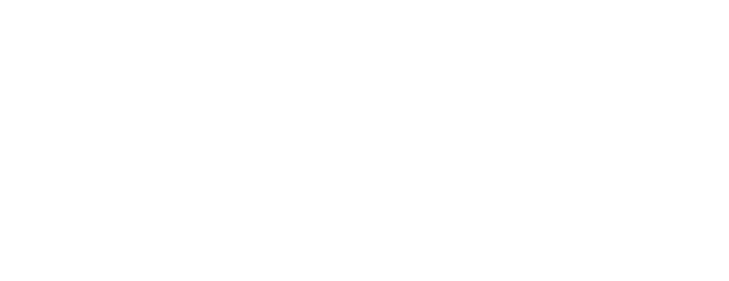 Blue Cross Blue Shield